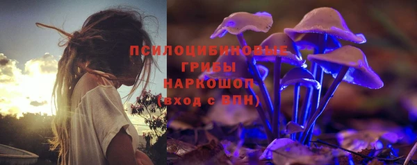 стафф Алексеевка