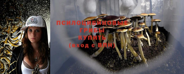 стафф Алексеевка