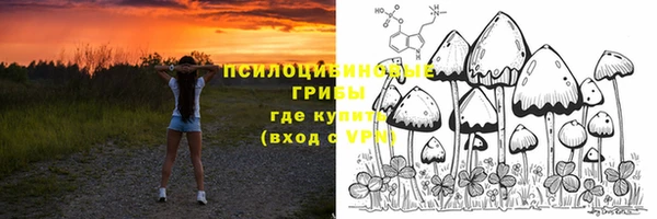 кокс Алзамай
