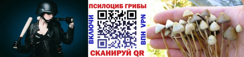 мориарти как зайти  как найти наркотики  omg ссылки  Муром  Галлюциногенные грибы Magic Shrooms 